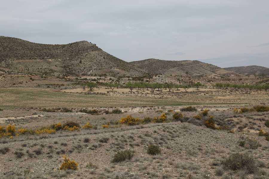 Vall de Jubera, Leza, Cidacos i Alama
