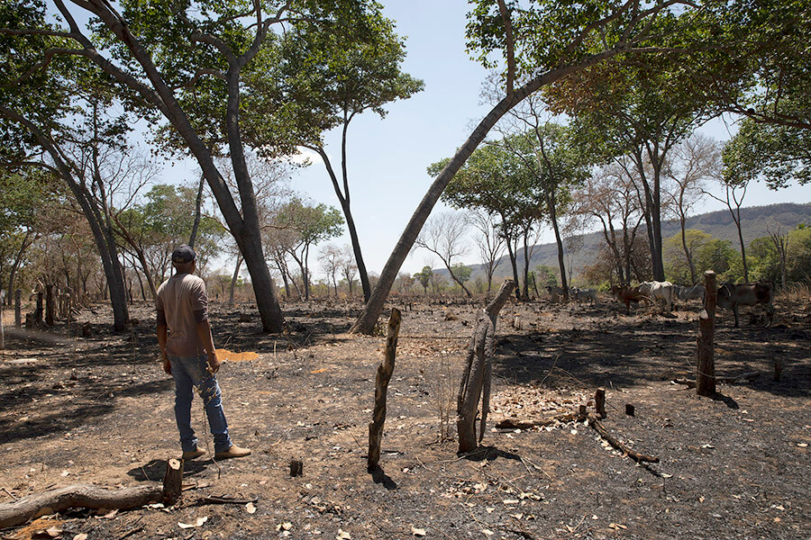During the same attack, the men set fire to a neighbour's house. The community's grazing fields, set on fire in an attempt to throw them out, is on the Fazenda's land.