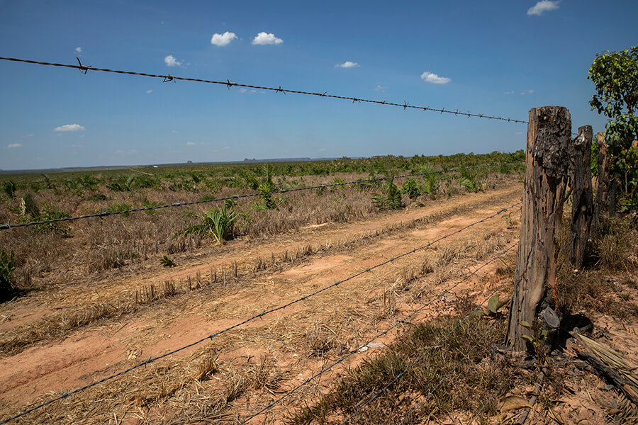 El propietario agrícola cerca de la comunidad Brejo do Miguel ha puesto alambres y vallas que no permiten a las comunidades acceder a uno de los humedales. / Los pequeños arroyos de cerca de su casa cada vez son más escasos.