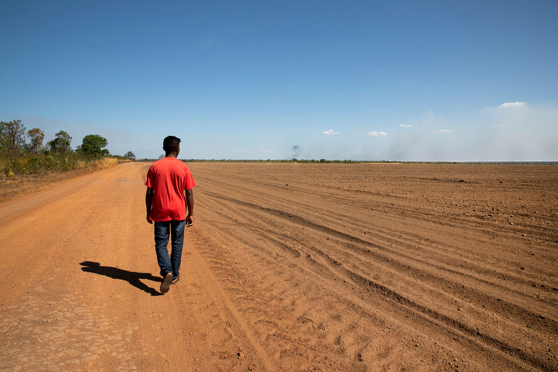 Al sur de Piauí, los campos preparados para cultivar soja también ocupan toda la zona del altiplano.