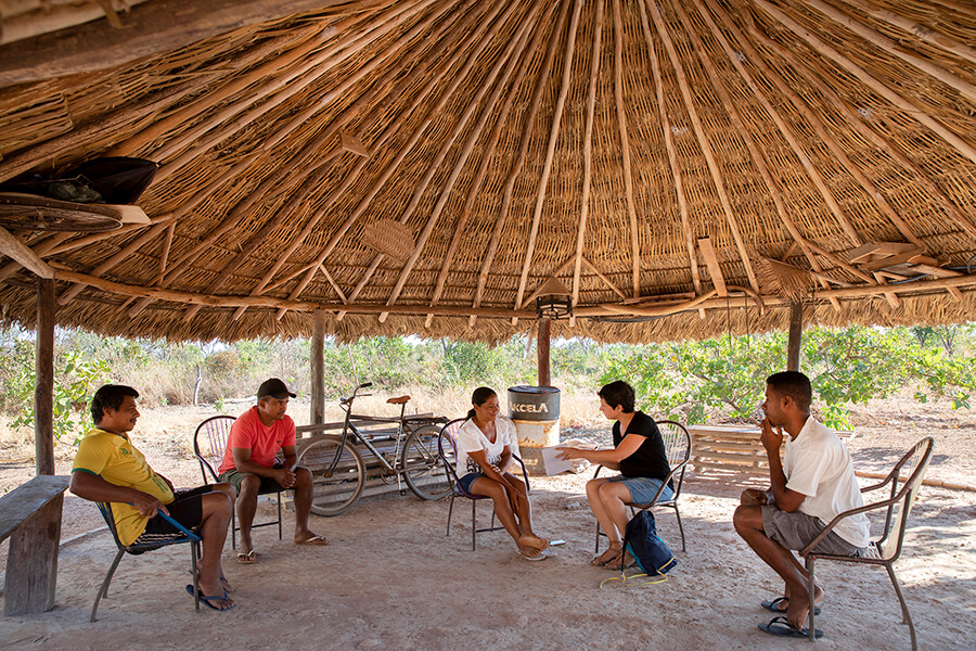 Les palmeres de 'burití' típiques del Cerrado són una font de recursos per a les comunitats: n’utilitzen les branques per fer els sostres de les cases i dels porxos circulars.